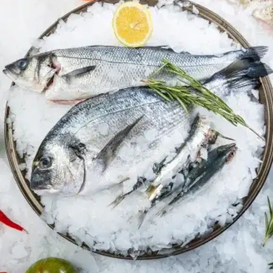 Fresh Fish